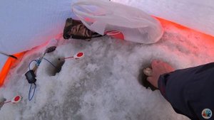 первый лед / ЧАНЫ / удачная рыбалка в новом сезоне