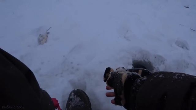 Из каждой лунки по две! Снасть ПРОСТА ! Зимняя рыбалка на Оке ! смотреть онлайн