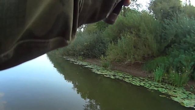 Серебряный Ручей Golavl Pro впорол хорошую щуку! Мелкие воблеры ловят крупную рыбу смотреть онлайн