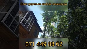 Спил дерева , удаление деревьев любой сложности , Донецк Макеевка Харцызск Ясиноватая Шахтёрск