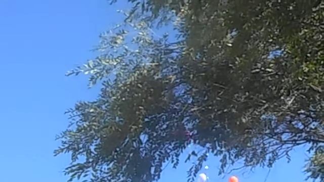 1 сентября Ключевая средняя школа, запуск шаров смотреть онлайн