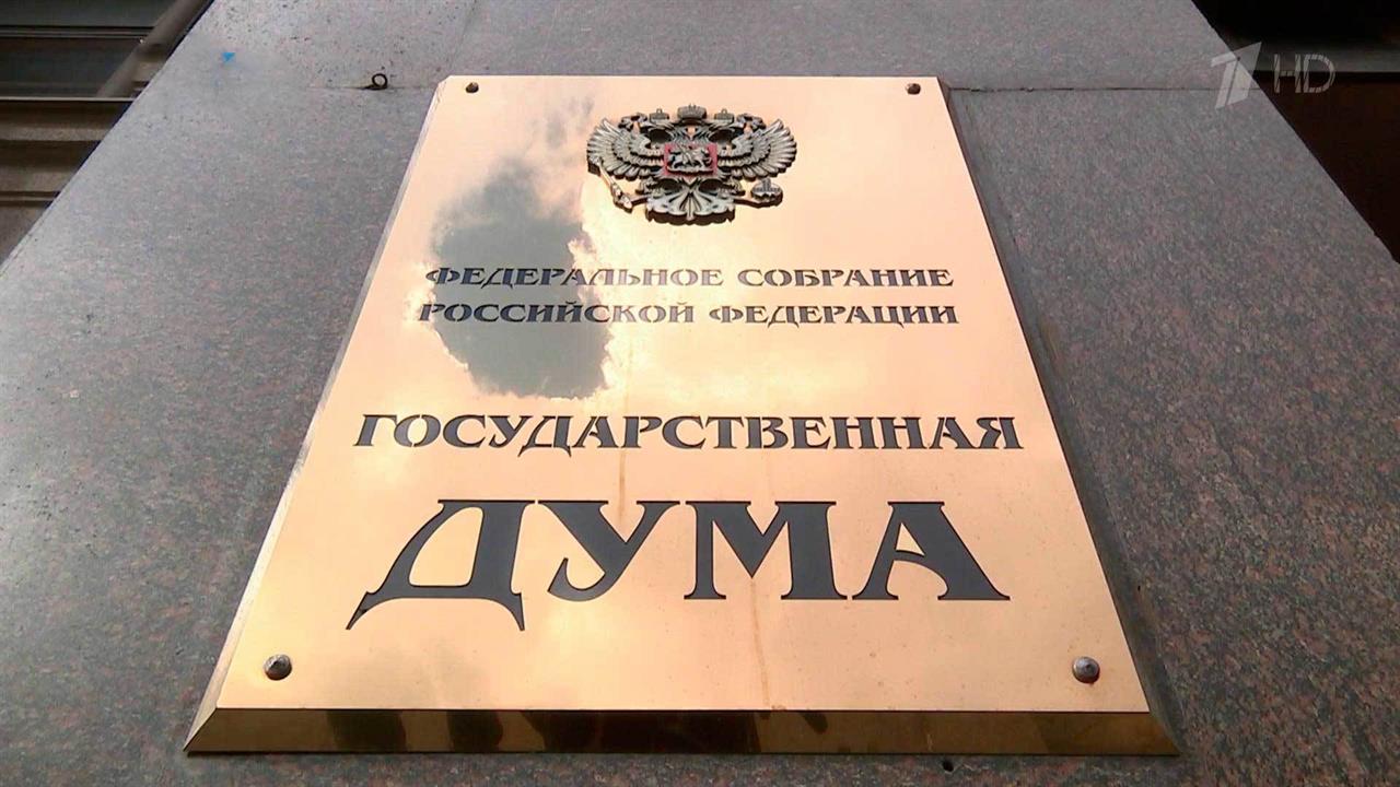 В России уже в этом году появится масштабное общественное движение детей и молодежи