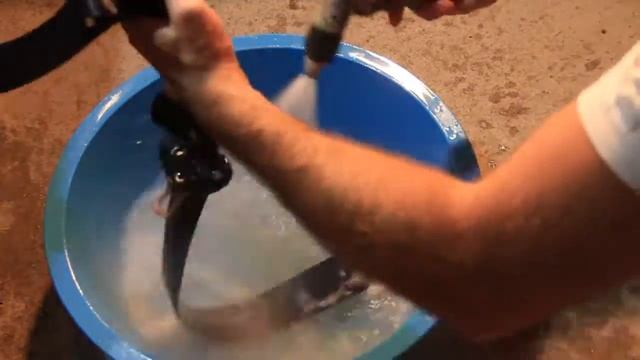 Стирка ремней безопасности. смотреть онлайн