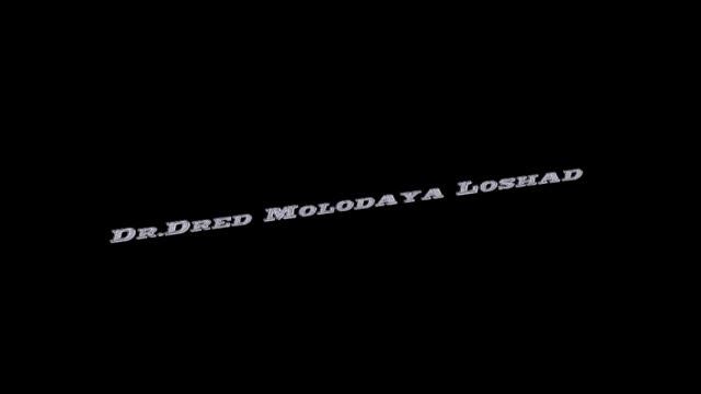 Dj Ayvin - Dr.Dred Molodaya Loshad