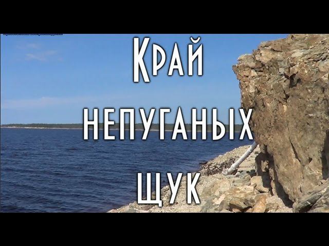 ☀️ КРАЙ НЕПУГАНЫХ ЩУК, щуки стоят повсеместно, съемки среди коряг #домавместе