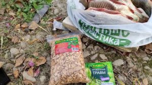 Как закоптить карпа...