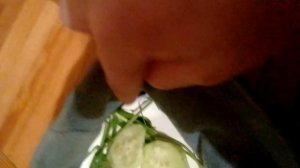 КАК УХАЖИВАТЬ ЗА ВИНОГРАДНОЙ УЛИТКОЙ. ТУТА АБСОЛЮТНО ВСЁ!!