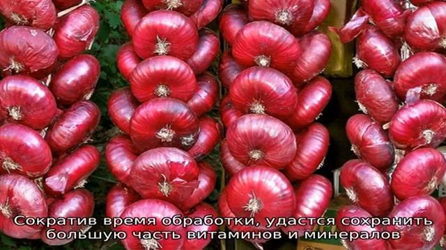 Польза и вред красного лука для организма человека смотреть онлайн