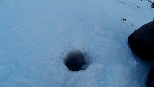 ЛОВИМ ОКУНЯ в прекрасную погоду! смотреть онлайн