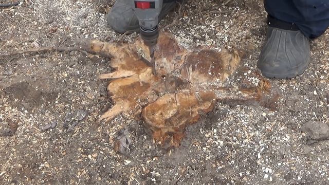 Удаляем пень от спиленного дерева без тяжелого корчевания. Легко и без усилий избавляемся от пня.