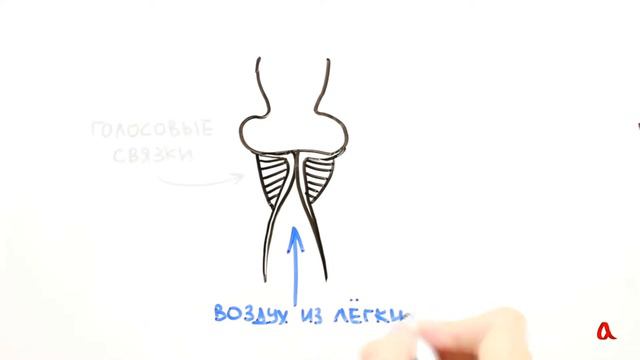 Возникновение звука.