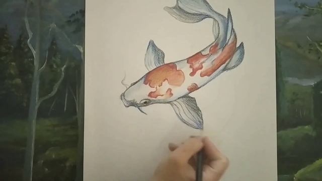 How to draw koi fish. 3D. Как нарисовать рыбу смотреть онлайн