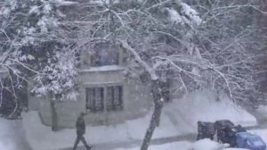 Снежная буря? Снежная буря!