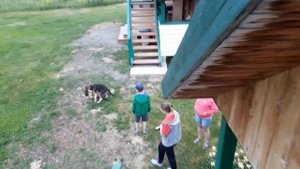 База отдыха "Бобровая заимка" с. Солоновка Алтайский край"20170607 183558