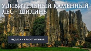 Каменный лес Шилинь // Чудеса и красоты Китая #путешествия #китай