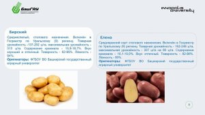 7.4.1 Неделя 2 (Тема 04) Инновационная технология возделывания картофеля (часть 2)