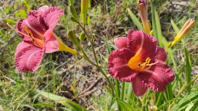 2 хешвана 5784 — 16 октября 2023. Ночной урок Зоар с равом Цви Элазар Давид Нисанзон. смотреть онлайн