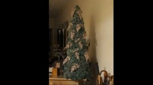 Идеи новогоднего декора: украшение дома, окон и стен на Новый год