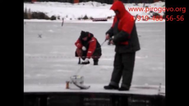Платная рыбалка