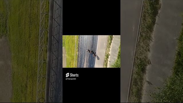 Стелят сетку на гудрон #shorts