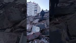 Казахстанские собаки-спасатели в Турции