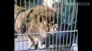 АЛЛАХ ГОВОРИТ