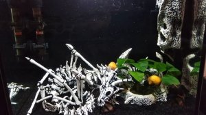 Грот для аквариума своими руками. ЧЕМ ПОКРАСИТЬ!? Личный опыт. #4 Аквариумный эксперимент