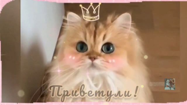? Приветики! ? Желаю хорошего настроения! ? Улыбнись!