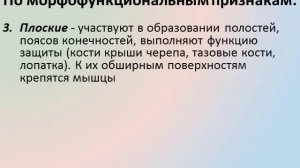 характеристика скелета животных