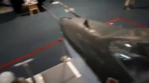 Самолет Штурмовик Су-25 Грач