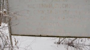 Заказник "Чертова Борода". Небольшая вылазка по урочищу