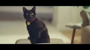 Кетчуп Heinz. Много томатов. Много вкуса.