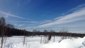 Чеховский виноград и сад в Подмосковье. Знакомство