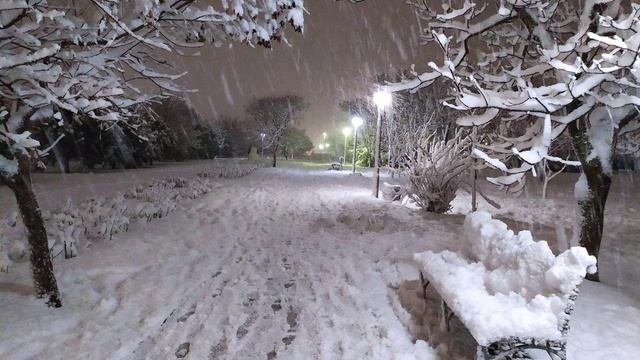 Алла Пугачёва и Кристина Орбакайте - Опять метель (cover by Olga Shumskaya)