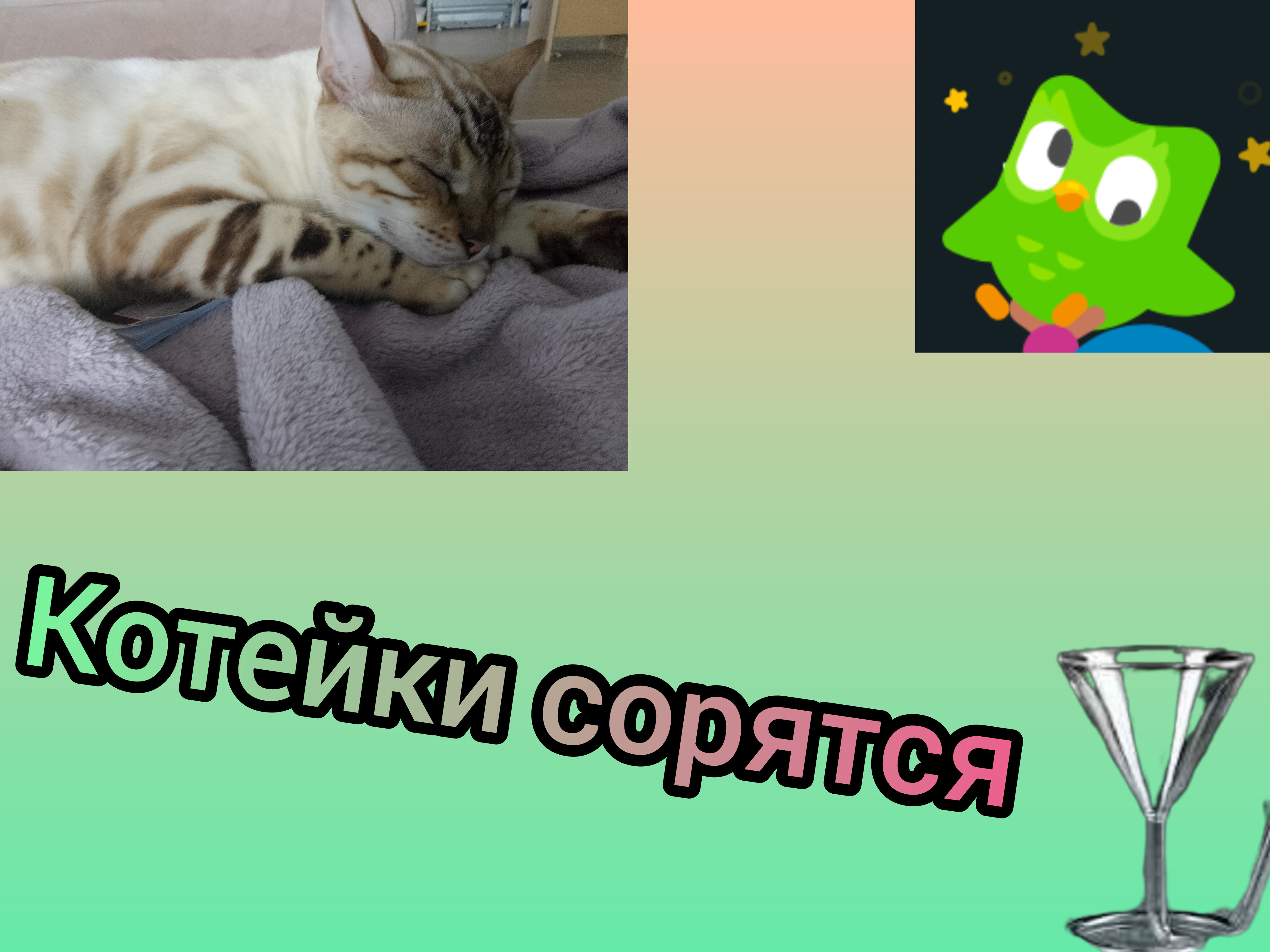 Котеич
