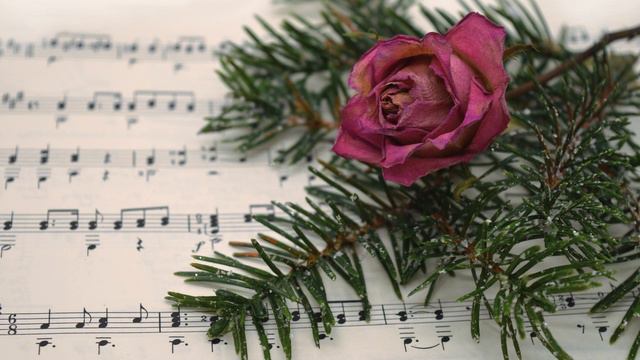 Handel - Society Choir Acis & Galatea Part II 18 Tis Done смотреть онлайн