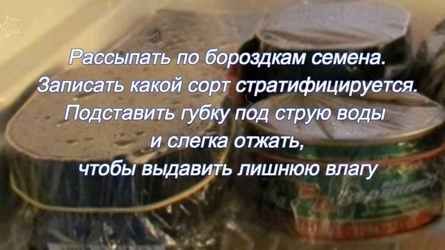 Промораживаем семена