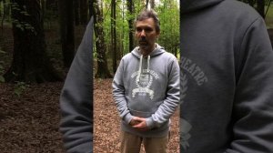 Упражнение Цигун: Массаж полости рта. Вращение языком,постукивание зубами. Из комплекса ИньЯн Цигун