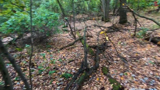 На охоту и рыбалку с ночёвкой в одиночку. Картоха, грибы, костёр. смотреть онлайн