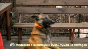 Сухой туман в программе Чудо Техники