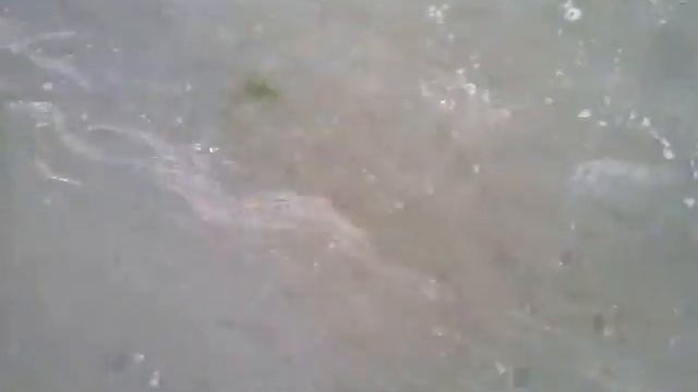 Проницательность. Смотреть Всем!
