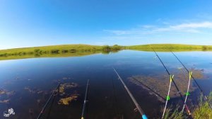 Ловля РОТАНА в июне.ОТВЕСНОЕ МАНЕНИЕ на поплавочку