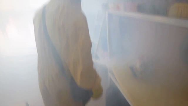 После обработки от клопов горячим туманом. смотреть онлайн