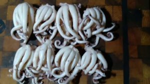 Щупальцы кальмаров. Как приготовить кальмара.как приготоаить щупальцы кальмара.#mistercookchief