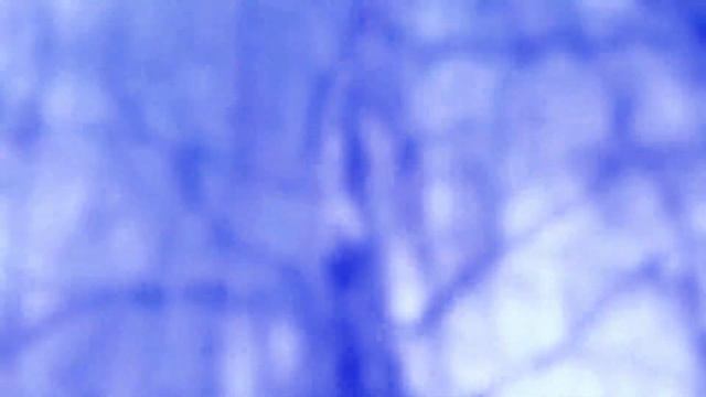 JS. BACH, Ich ruf zu dir, Herr Jesu Christ, BWV 639. TON KOOPMAN (!) смотреть онлайн