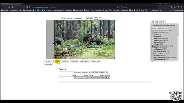 Оценка плотности населения млекопитающих с помощью REM. Калибровка смотреть онлайн