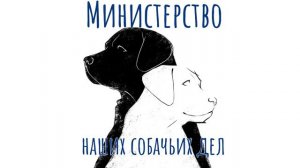 Лучшая собака-поводырь 2023