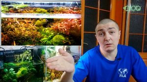 Как легко и просто избавиться от РЯСКИ в аквариуме!