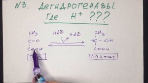 3.Типичные ошибки классификации ферментов. Биохимия