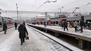 РЖД. МОСКВА. Ленинградский вокзал. Пригородные поезда. Вечное движение. 19.11. 2022.